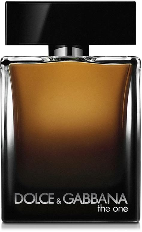 dolce gabbana the one for men collector's edition